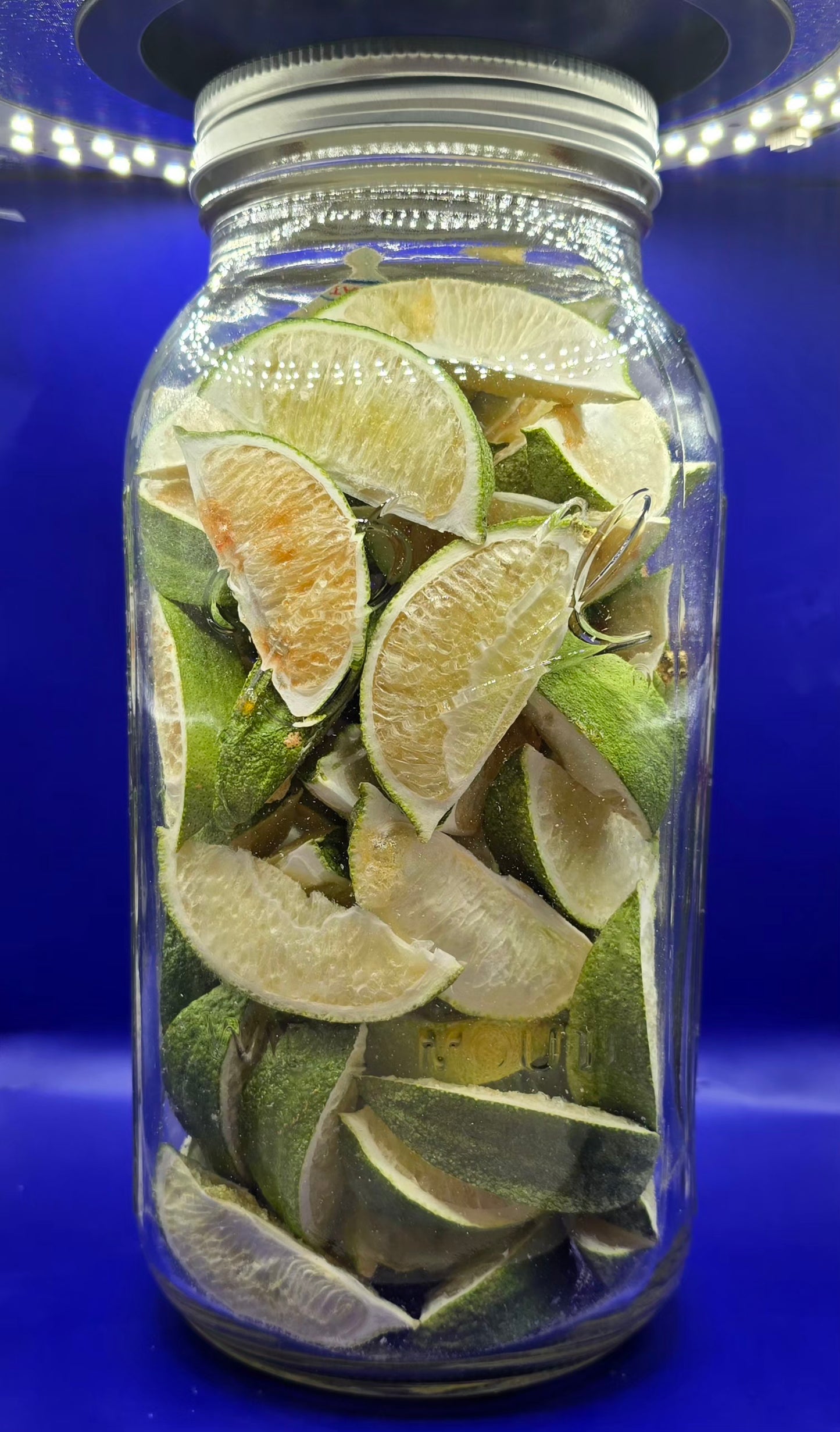 Freeze dried lime wedges 64oz jar