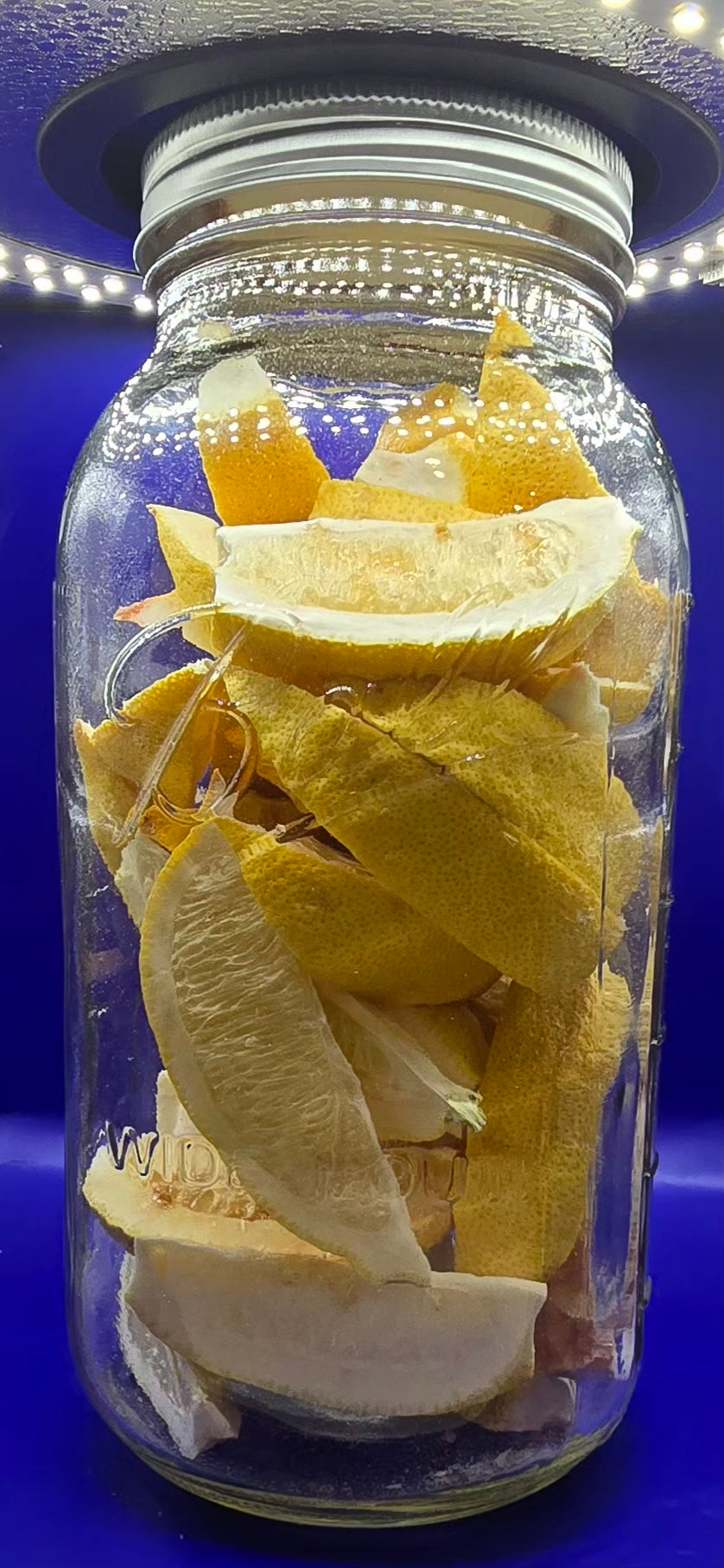 Freeze dried lemon wedges 64oz jar