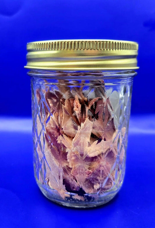 freeze dried ham in a 8oz mason jar