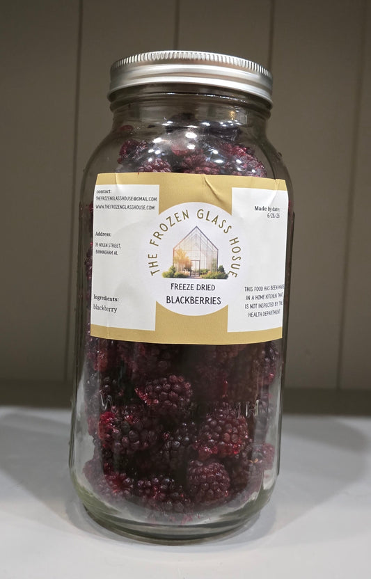 Freeze dried blackberries in a 64oz jar