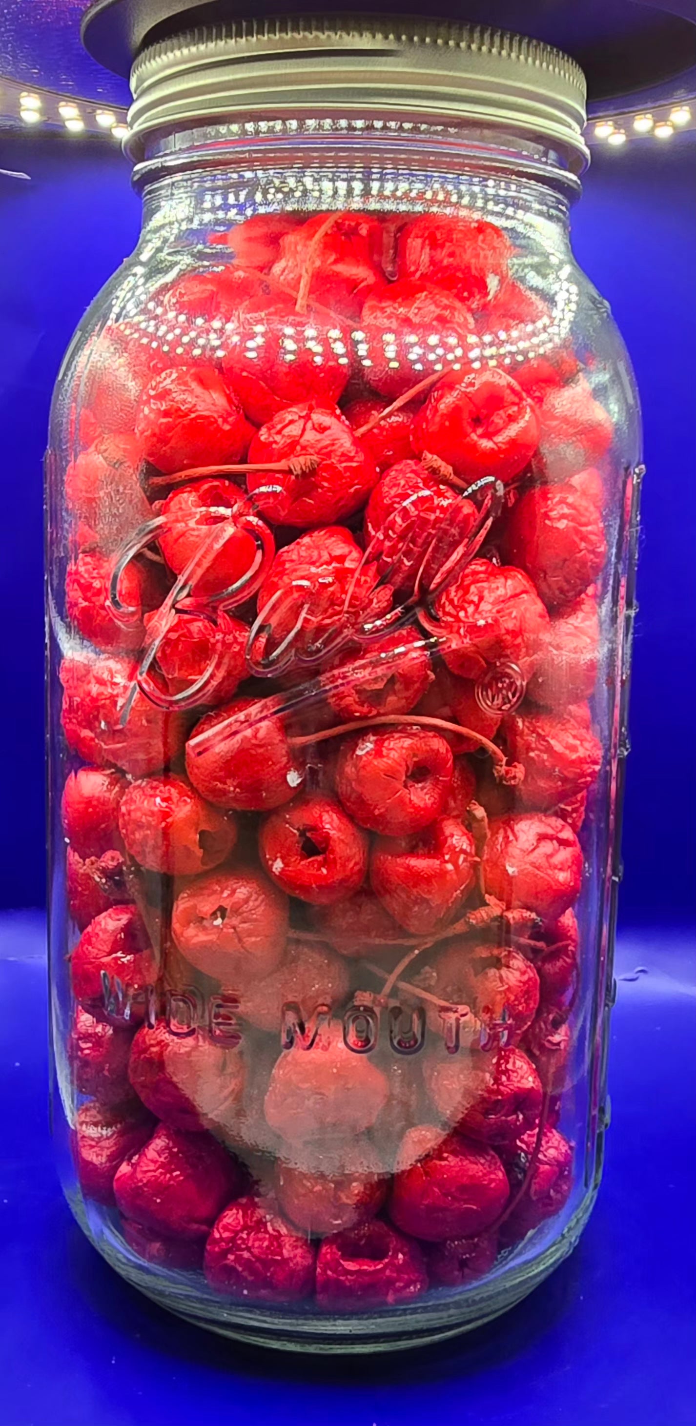 Freeze dried Maraschino Cherrys 64oz jar